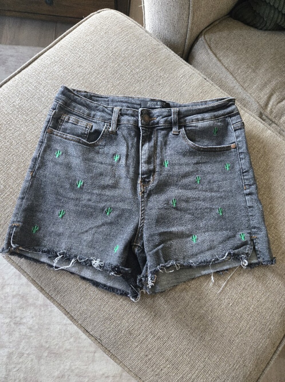 Judy Blue Cacti Shorts